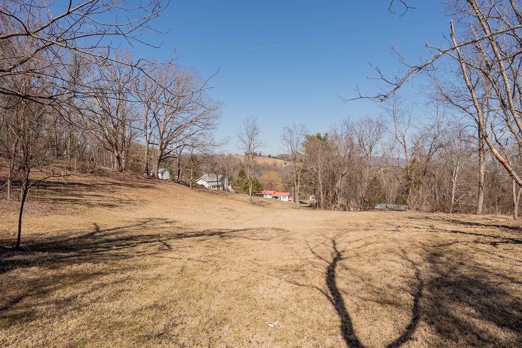 2161 Loafers Rest Road Austinville, VA 24312 - Photo 65 of 96 Gallery Image 65