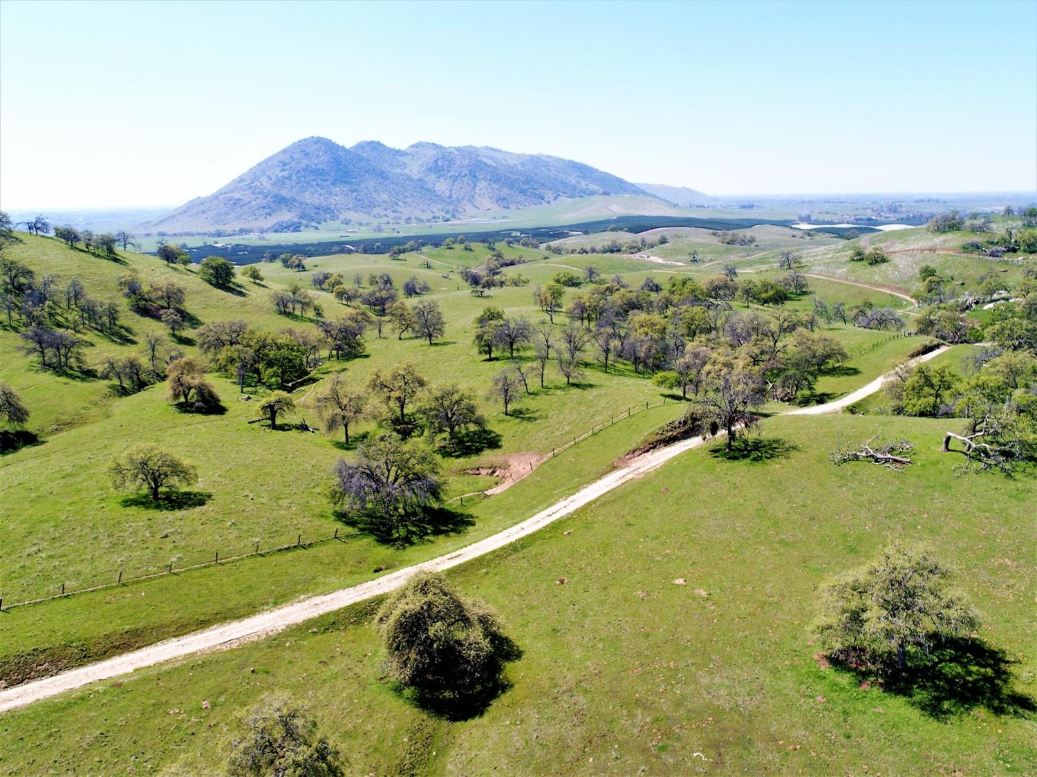 0 Crawford Avenue Reedley, CA 93654 - Photo 1 of 40 Gallery Image 1