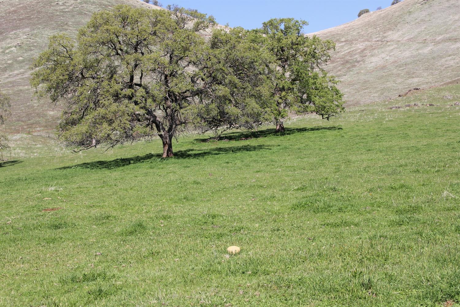 0 Crawford Avenue Reedley, CA 93654 - Photo 13 of 40 Gallery Image 13