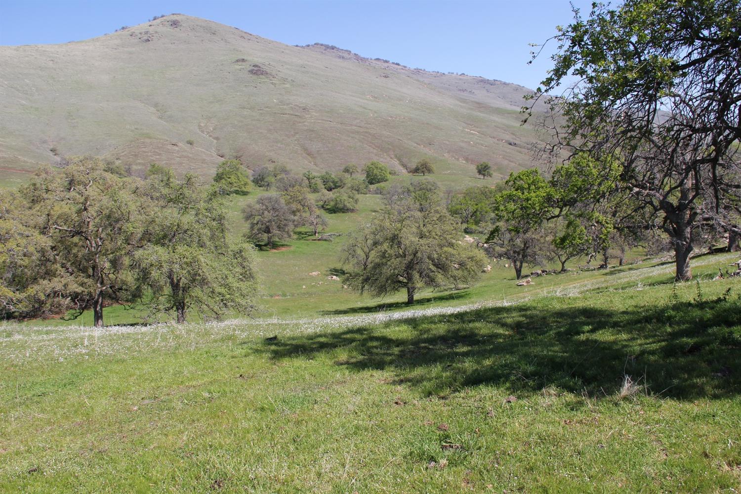 0 Crawford Avenue Reedley, CA 93654 - Photo 18 of 40 Gallery Image 18