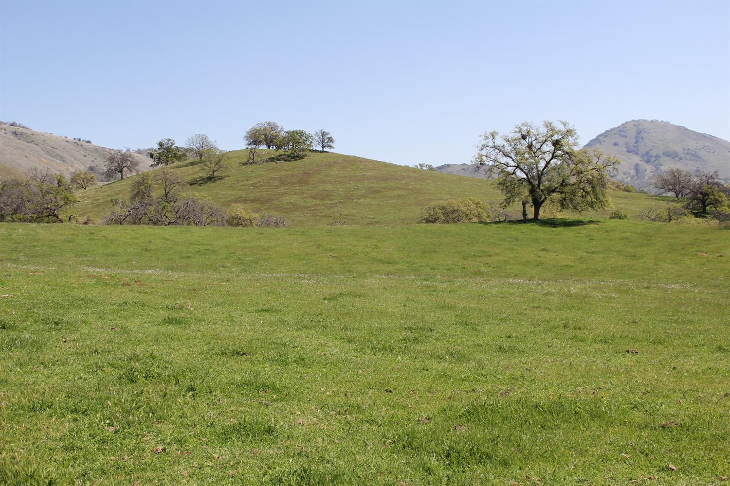 0 Crawford Avenue Reedley, CA 93654 - Photo 24 of 40 Gallery Image 24
