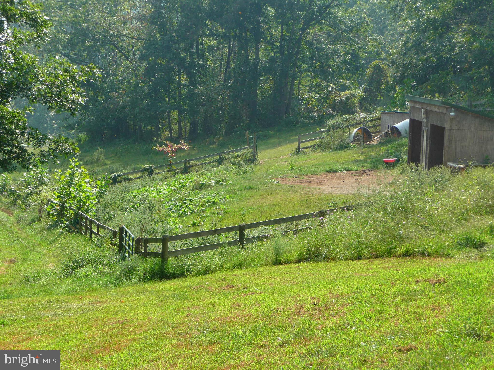 4442 Scotts Road Marshall, VA 20115 - Photo 28 of 30 Exterior (General)