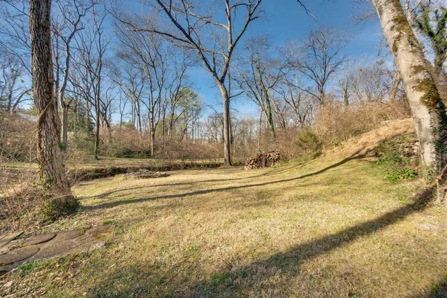 a view of a yard with large trees