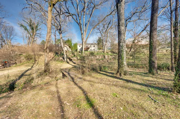 a view of yard with tree s