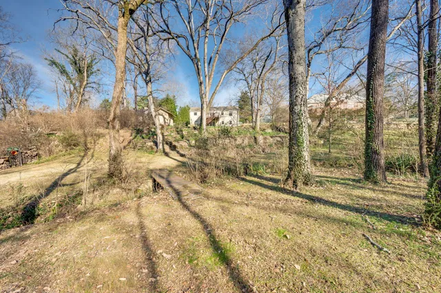 a view of yard with tree s