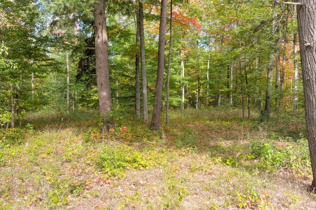 Z0 Homestead Road Beulah, MI 49617 - Photo 10 of 14