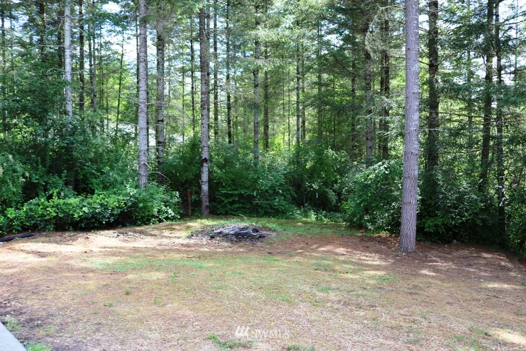 3031 East Rasor Road Belfair, WA 98528 - Photo 25 of 25 Gallery Image 25