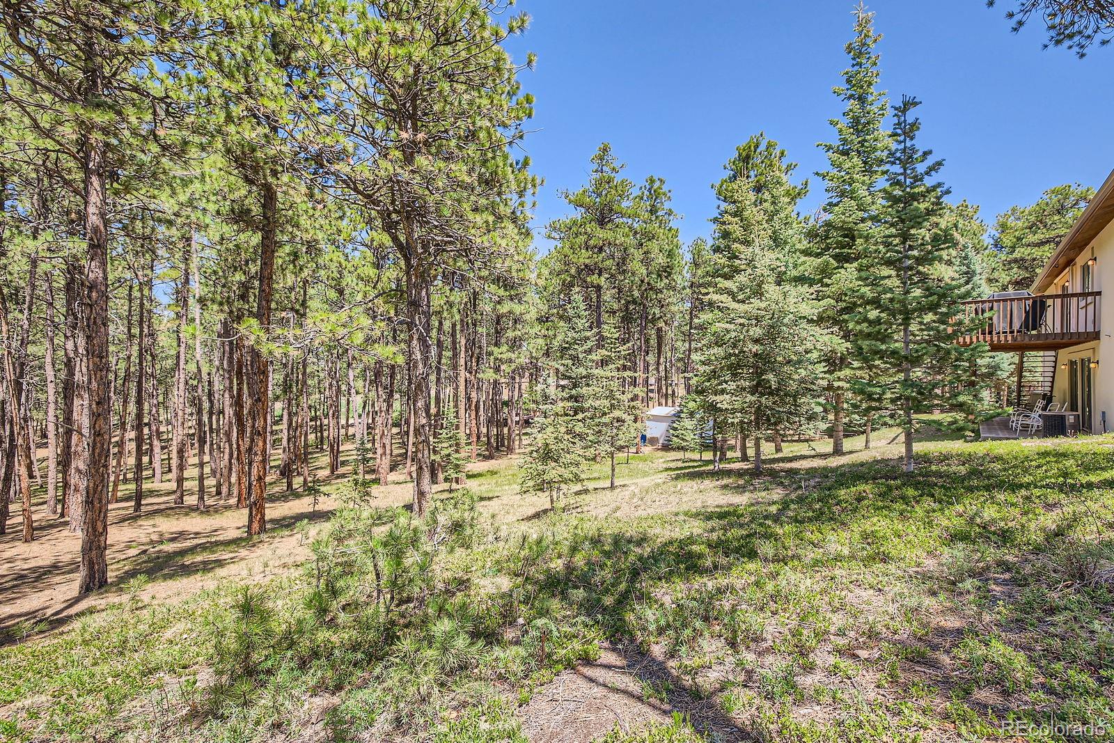 18150 Martingale Road Monument, CO 80132 - Photo 27 of 31 Gallery Image 27