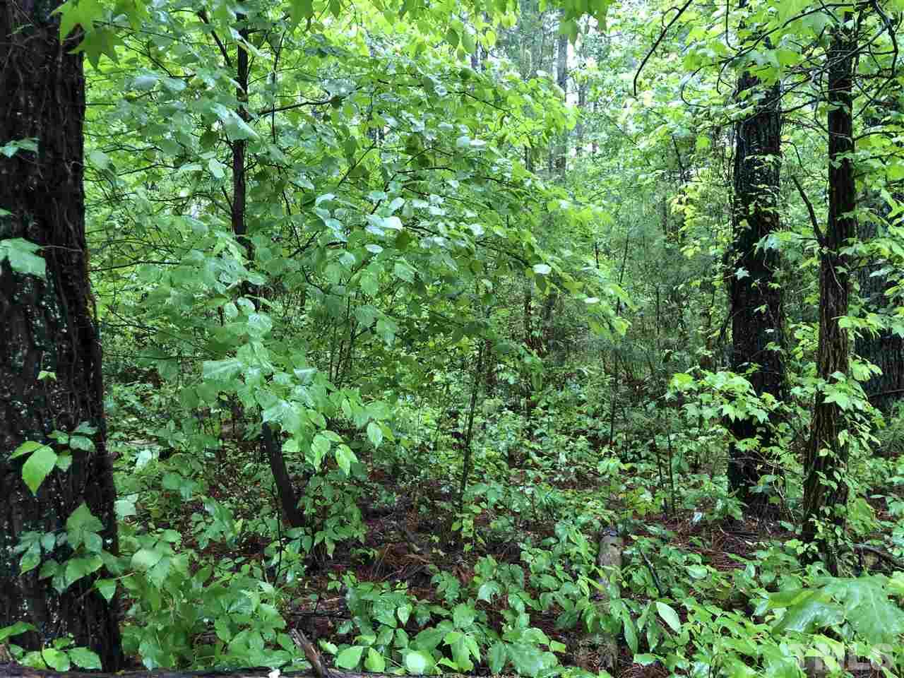 8220 Pine Wood Road Middlesex, NC 27557 - Photo 3 of 8