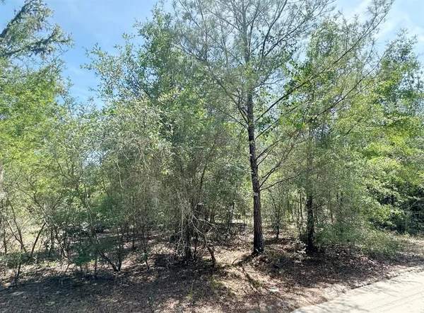 $30,000 | 7930 Northeast 121 Street, Bronson, FL 32621