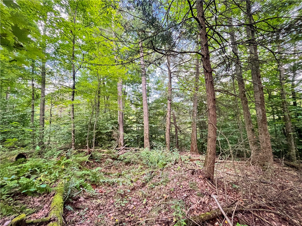Hill Road Spencer, NY 14883 - Photo 38 of 48