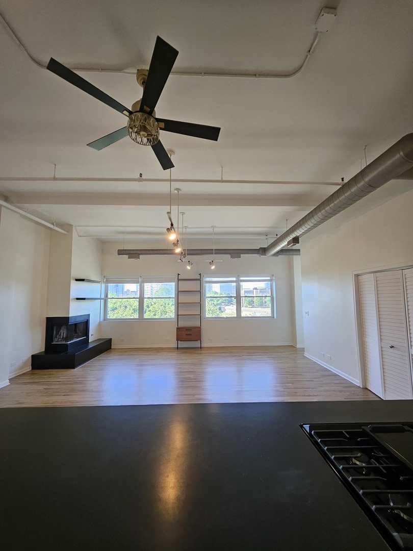 809 North Racine Avenue, Unit 203 Chicago, IL 60642 - Photo 8 of 22