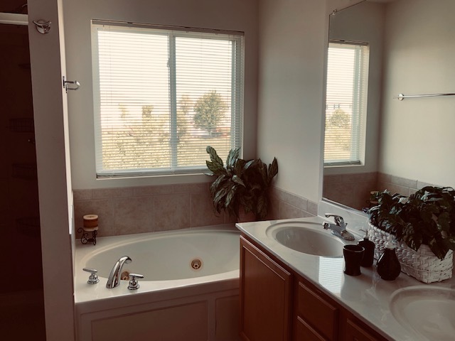 1502 Remington Lane Round Lake, IL 60073 - Photo 22 of 29 a bathroom with a tub a sink and a window