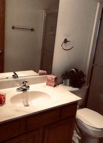 1502 Remington Lane Round Lake, IL 60073 - Photo 24 of 29 a bathroom with a sink vanity mirror and toilet