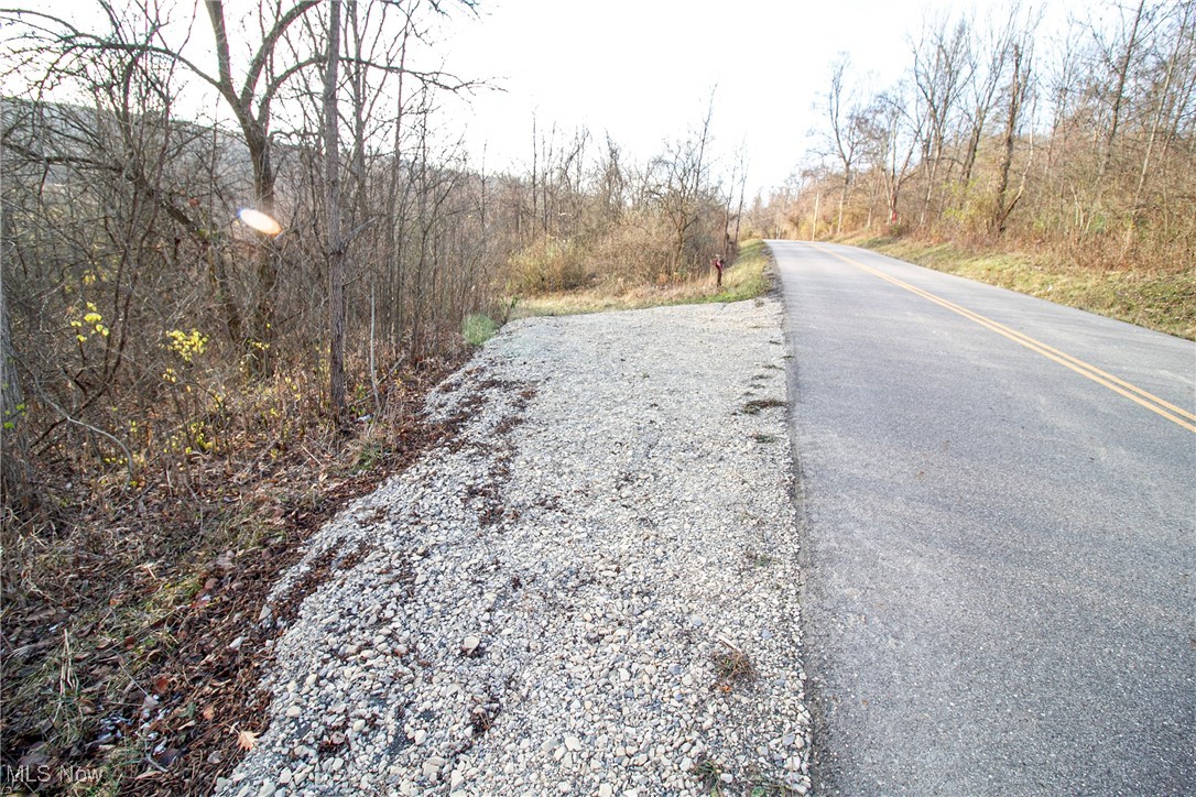 2 Whiskey Run Road Quaker City, OH 43773 - Photo 13 of 39 View of road