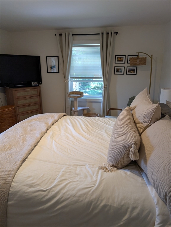 27 Heath Road, Unit 1 Arlington, MA 02474 - Photo 9 of 15 Gallery Image 9
