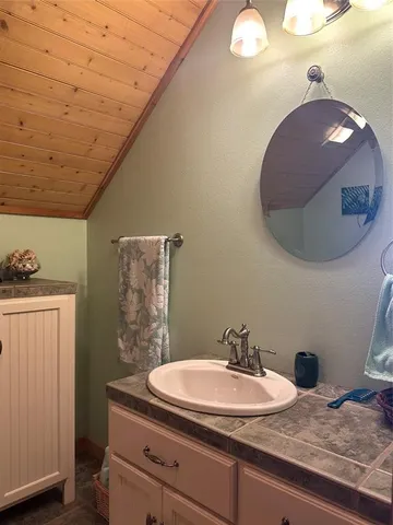 a view of a forest with a lush green forest