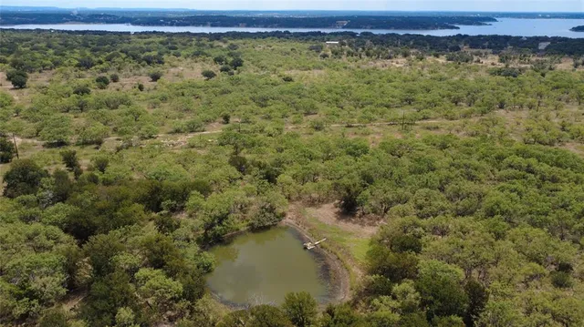 a view of a green field with lots of trees