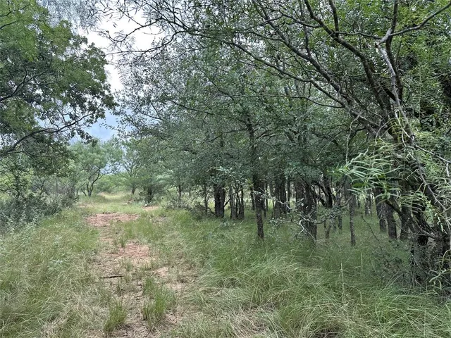 a view of a city with lots of trees