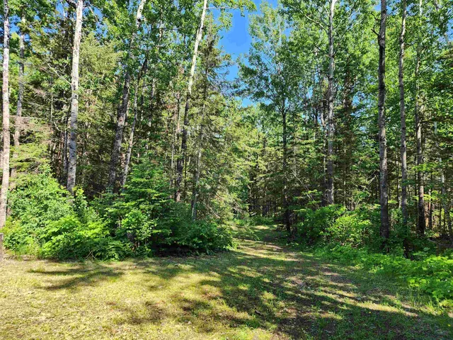 $249,000 | 117 Tower Road, Hovland, MN 55606