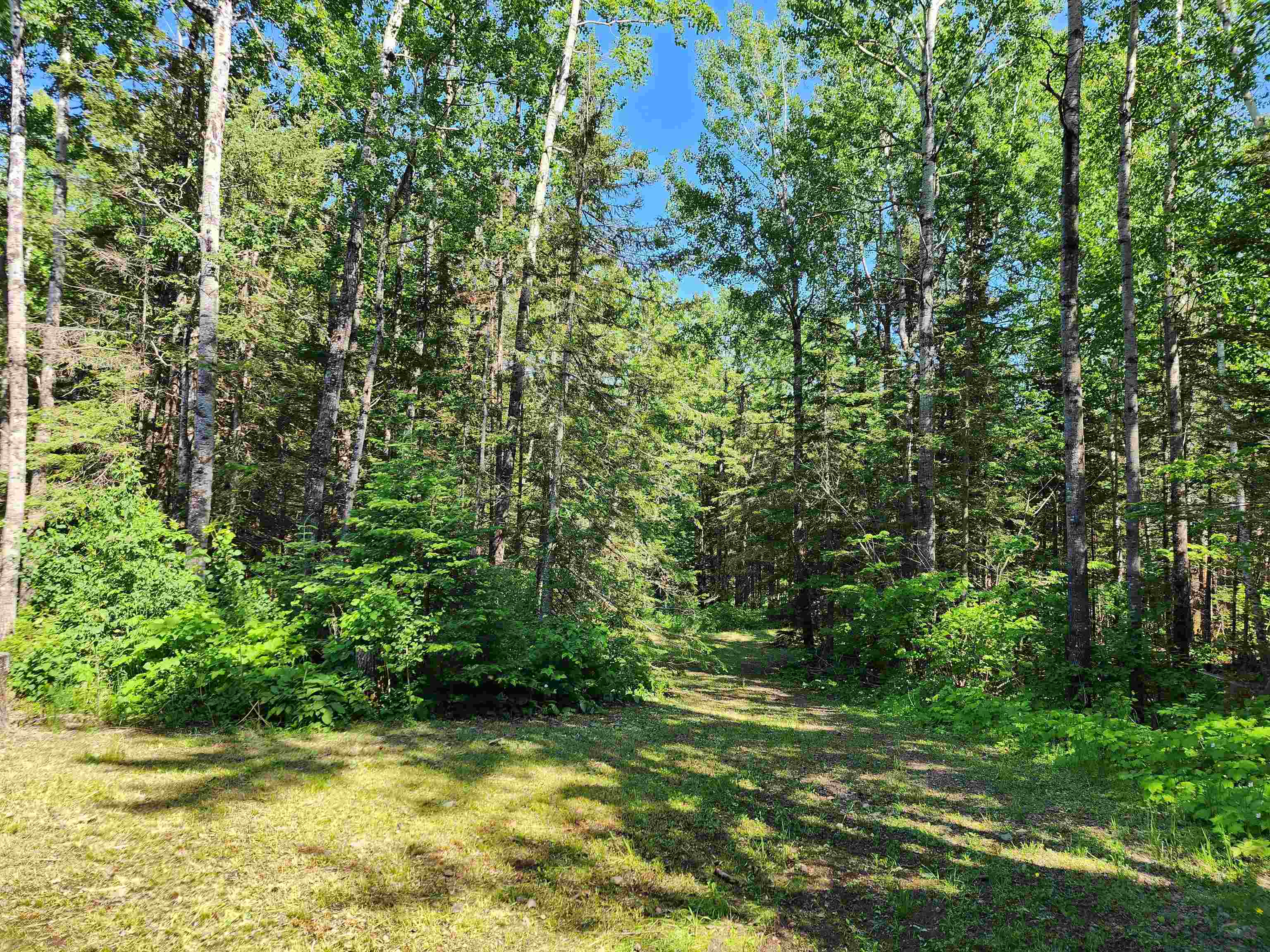 117 Tower Road Hovland, MN 55606 - Photo 36 of 47