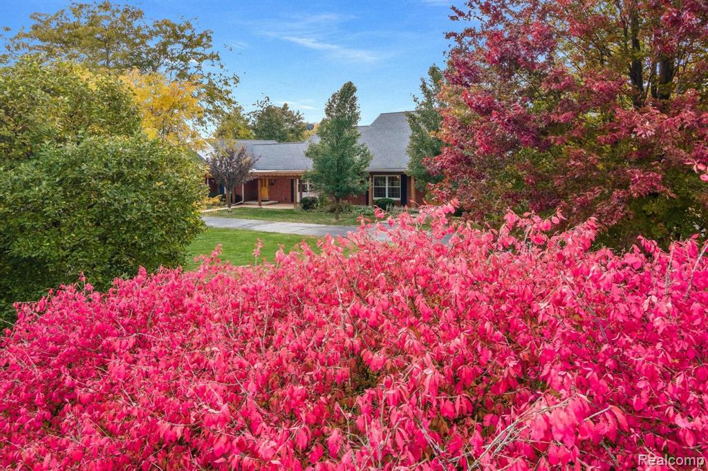 4374 Brogan Road Stockbridge, MI 49285 - Photo 3 of 94
