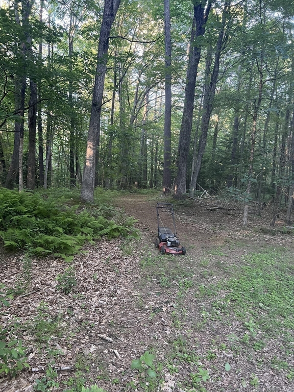 113 Townsend Road Shirley, MA 01464 - Photo 27 of 30 a view of a backyard with trees
