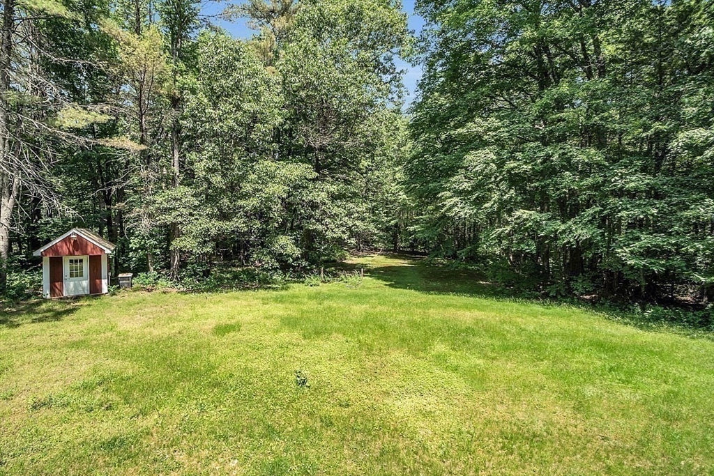 113 Townsend Road Shirley, MA 01464 - Photo 6 of 30 a view of a yard with a trees