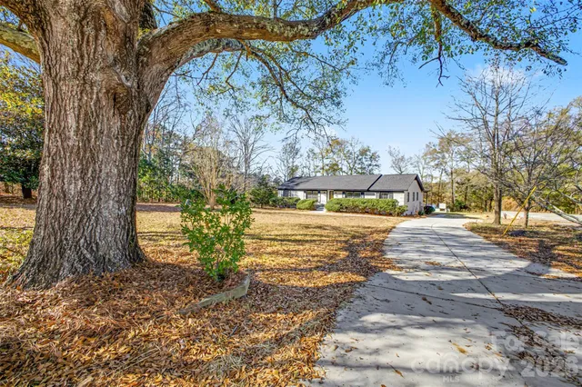 a view of a yard in a yard