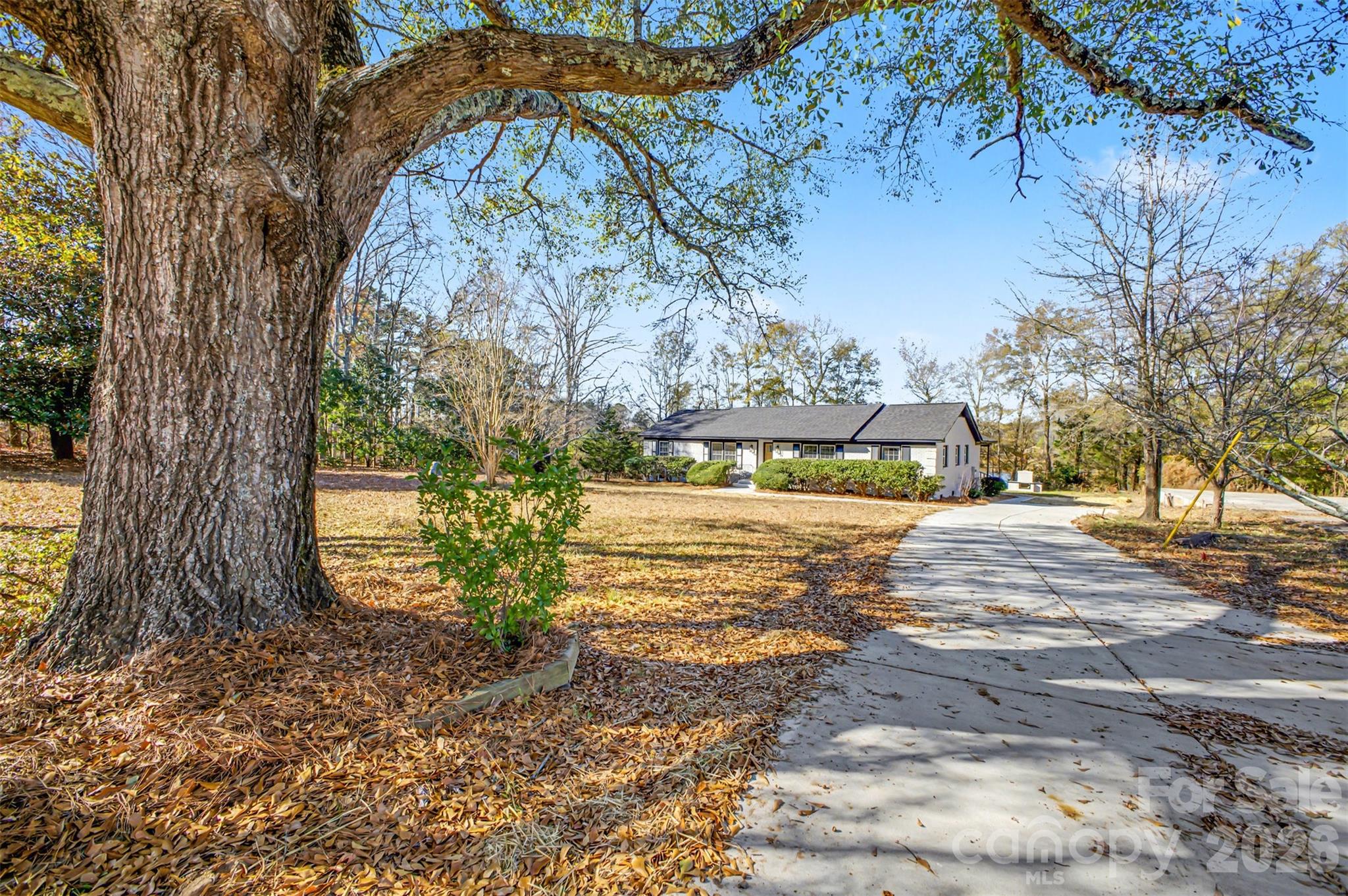 a view of a yard in a yard