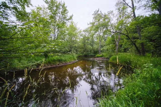 $250,000 | 5680 East Shores Drive, Free Soil, MI 49411