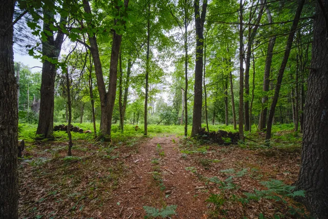 $250,000 | 5680 East Shores Drive, Free Soil, MI 49411