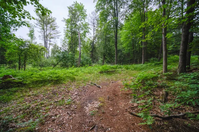 $250,000 | 5680 East Shores Drive, Free Soil, MI 49411