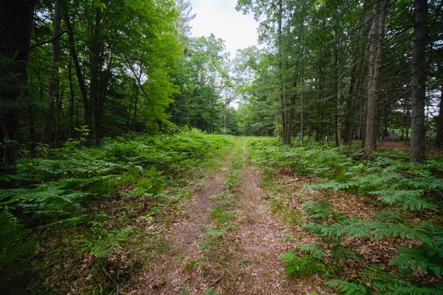 $250,000 | 5680 East Shores Drive, Free Soil, MI 49411