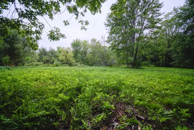 $250,000 | 5680 East Shores Drive, Free Soil, MI 49411