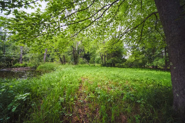 $250,000 | 5680 East Shores Drive, Free Soil, MI 49411