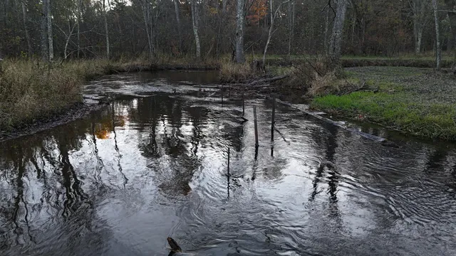 $250,000 | 5680 East Shores Drive, Free Soil, MI 49411