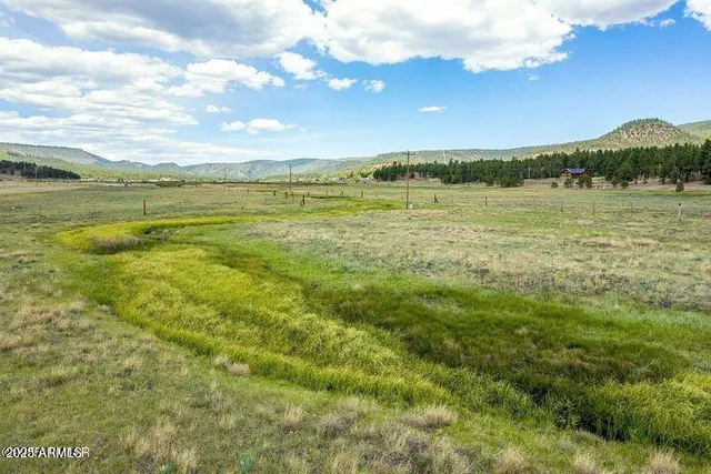 $448,000 | 42856 Highway 180, Unit 4C, Alpine, AZ 85920