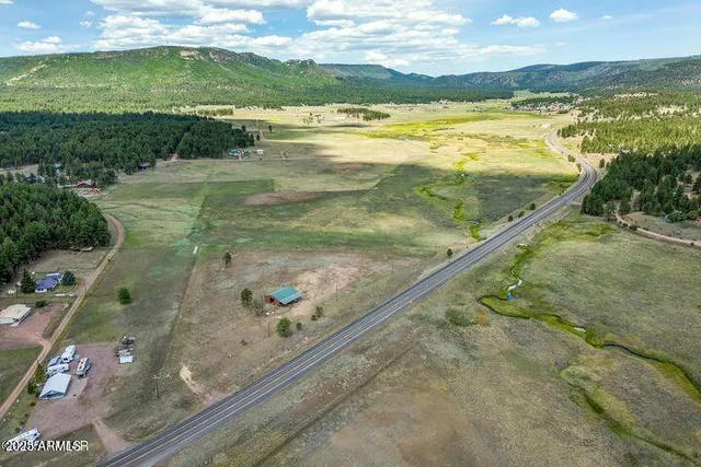 $448,000 | 42856 Highway 180, Unit 4C, Alpine, AZ 85920