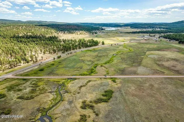 $448,000 | 42856 Highway 180, Unit 4C, Alpine, AZ 85920