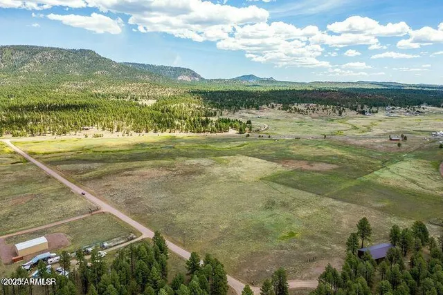 $448,000 | 42856 Highway 180, Unit 4C, Alpine, AZ 85920