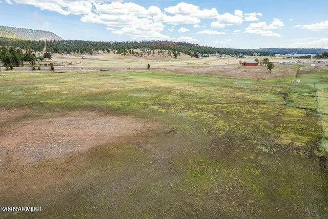 $448,000 | 42856 Highway 180, Unit 4C, Alpine, AZ 85920