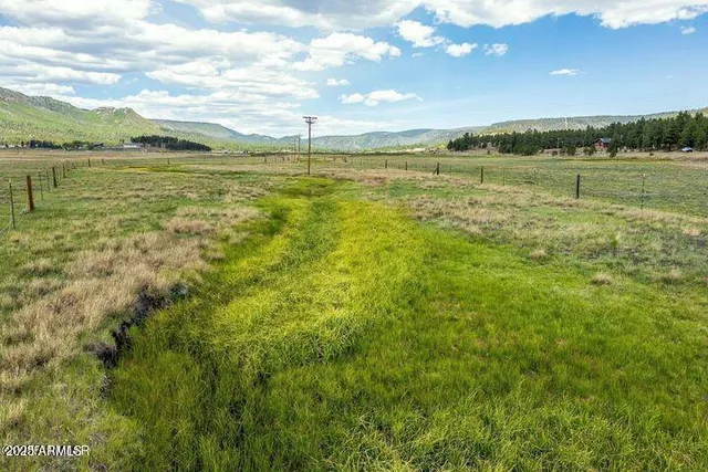 $448,000 | 42856 Highway 180, Unit 4C, Alpine, AZ 85920