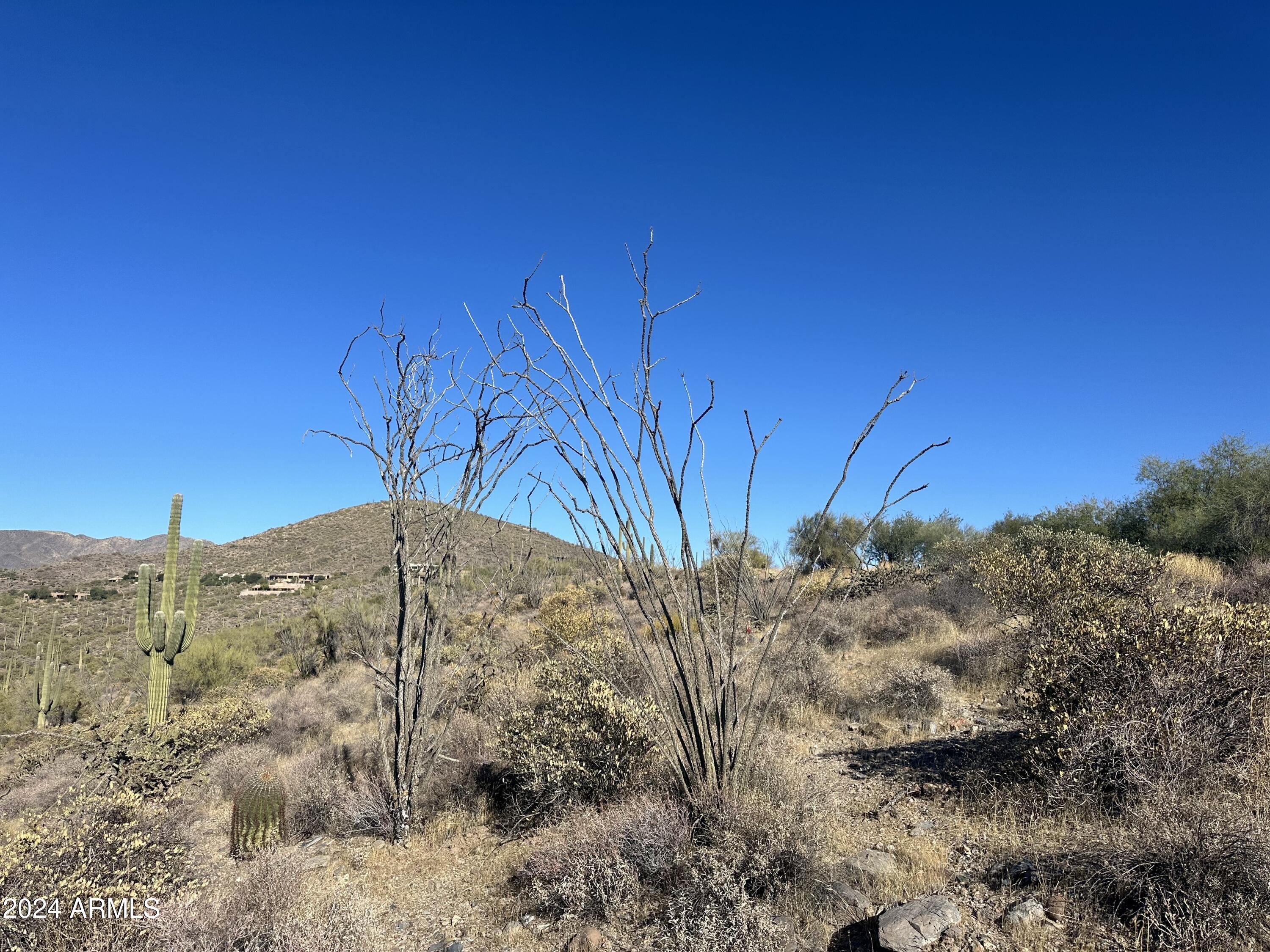 8828 East Red Lawrence Drive, Unit 33 Scottsdale, AZ 85262 - Photo 7 of 9 a view of a dry yard