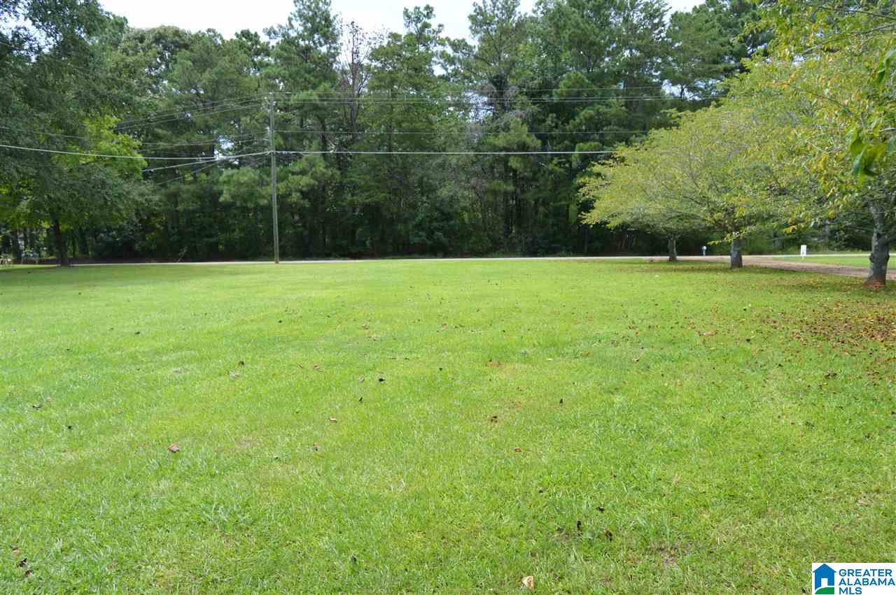 843 Mountain View Road Cordova, AL 35550 - Photo 35 of 37
