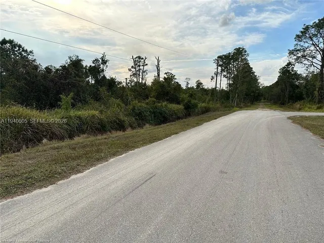 a view of a rural road with plants