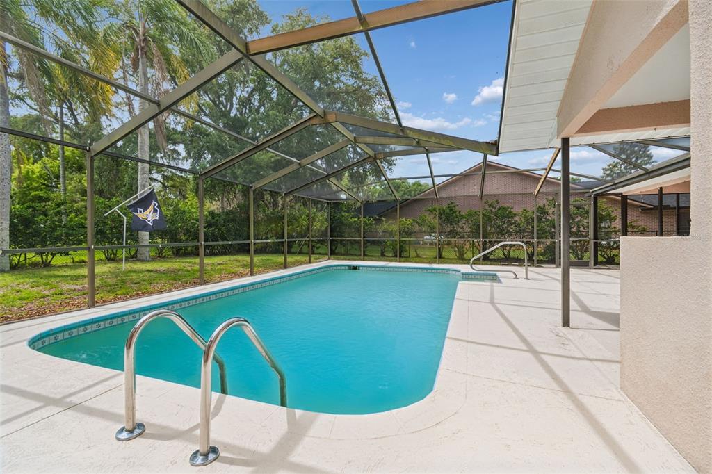 9824 Hermosillo Drive New Port Richey, FL 34655 - Photo 31 of 45
