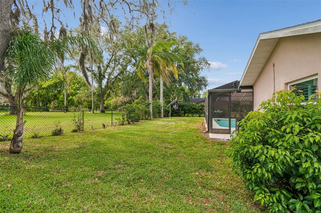 9824 Hermosillo Drive New Port Richey, FL 34655 - Photo 39 of 45