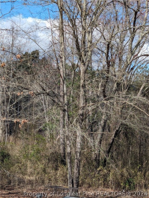 Tbd Graham Road Sanford, NC 27332 - Photo 2 of 4 Gallery Image 2