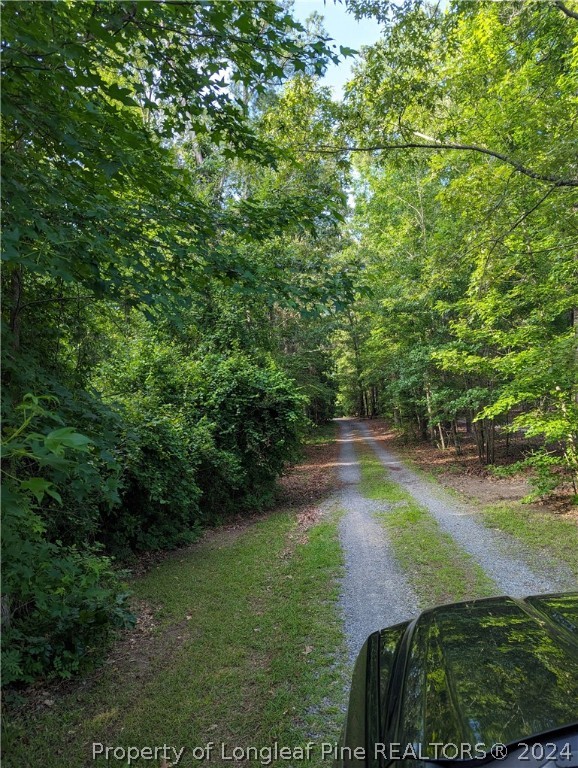 Tbd Graham Road Sanford, NC 27332 - Photo 4 of 4 Gallery Image 4